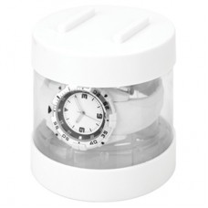 Transparent Plastic Watch Box