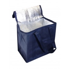 NON WOVEN COOLER BAG WITH ZIPPERED LID