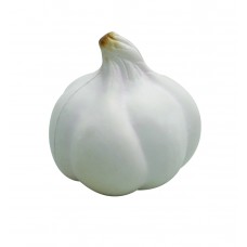 STRESS GARLIC