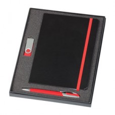 Notebook / 2 GB Swivel USB & Havana Pen 