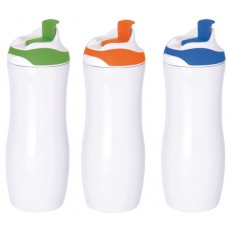 Stainless Steel Thermo Bottle