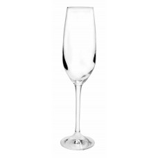 Ariston Champagne Glasses (Bulk Pack)