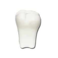 Tooth Stress Shape